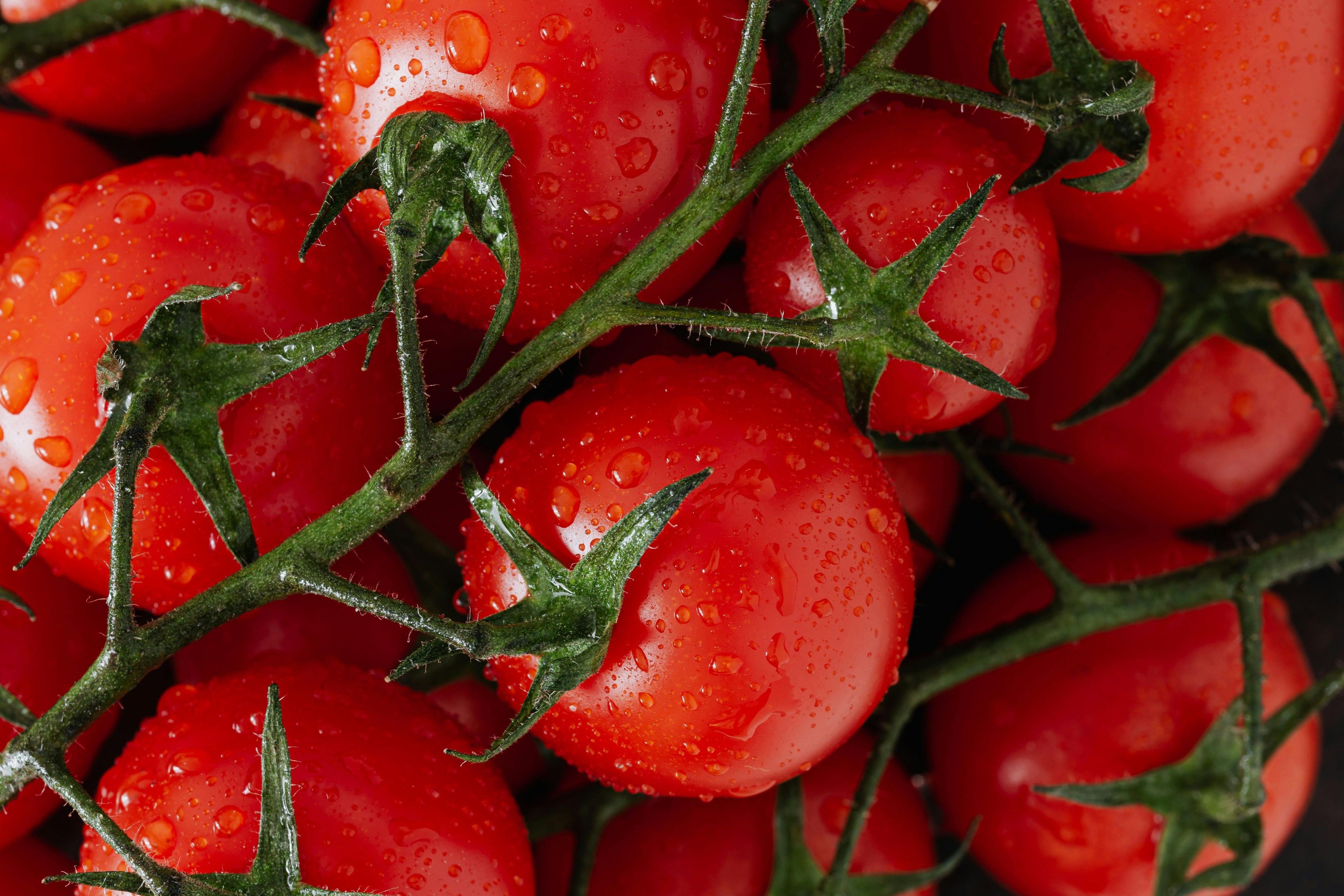 Blushing Tomatoes
