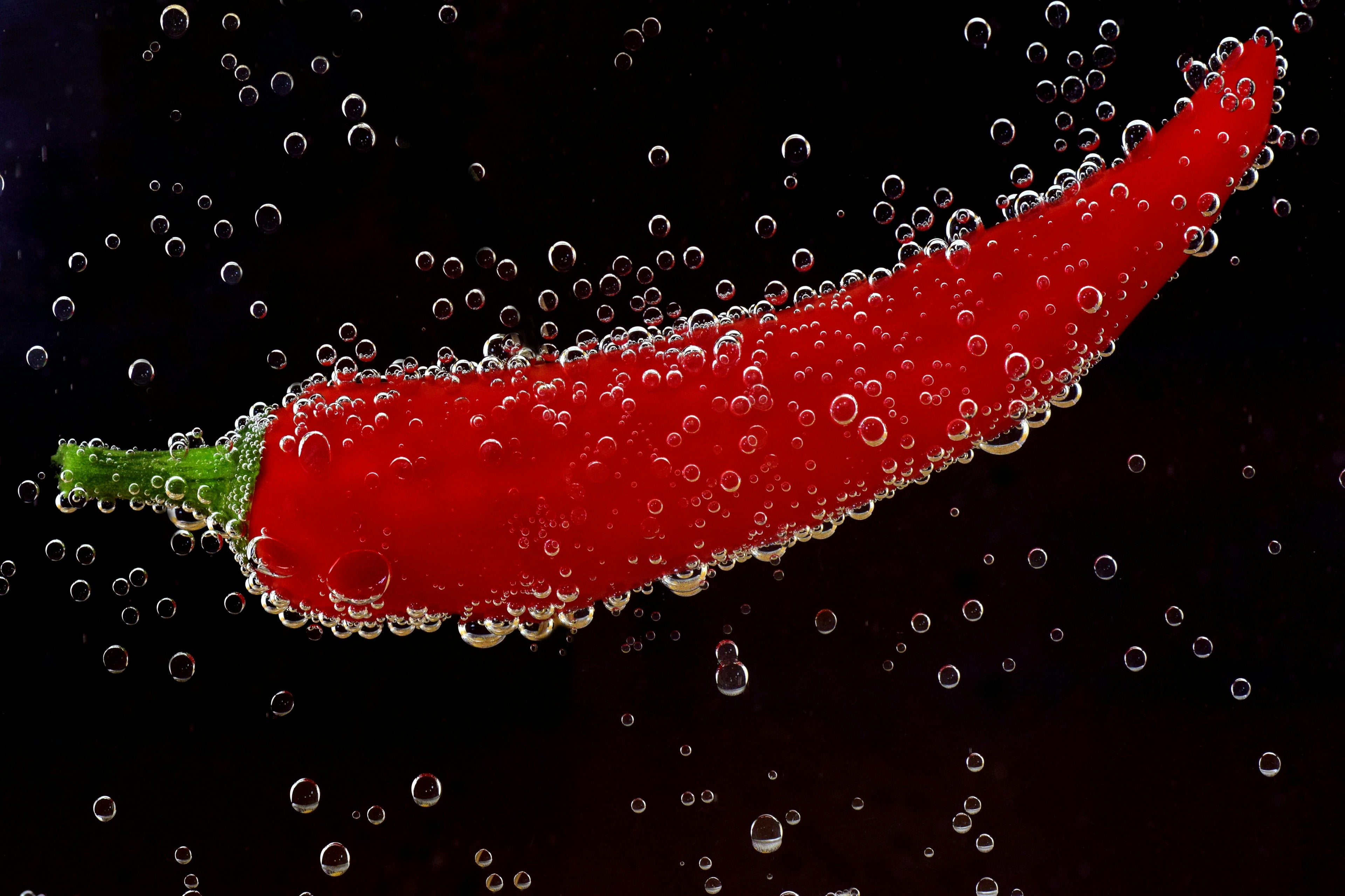 The Pepper Patch