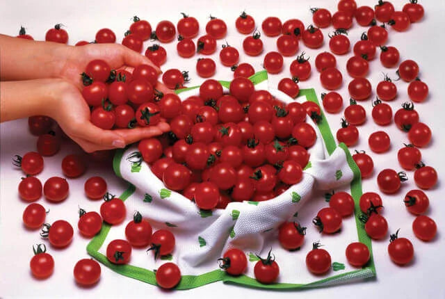 Sweet Million Hybrid Tomato Plant