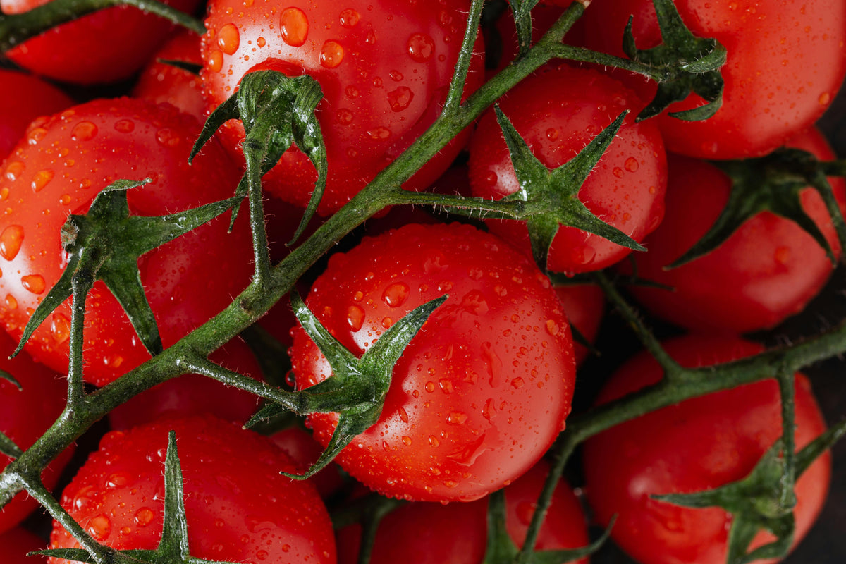 Blushing Tomatoes