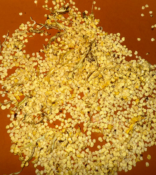 Aji Limon Seeds