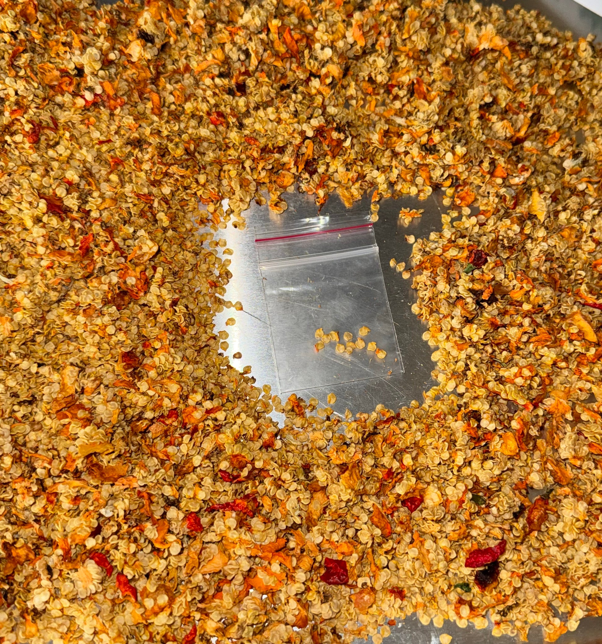 Carolina Reaper Seeds