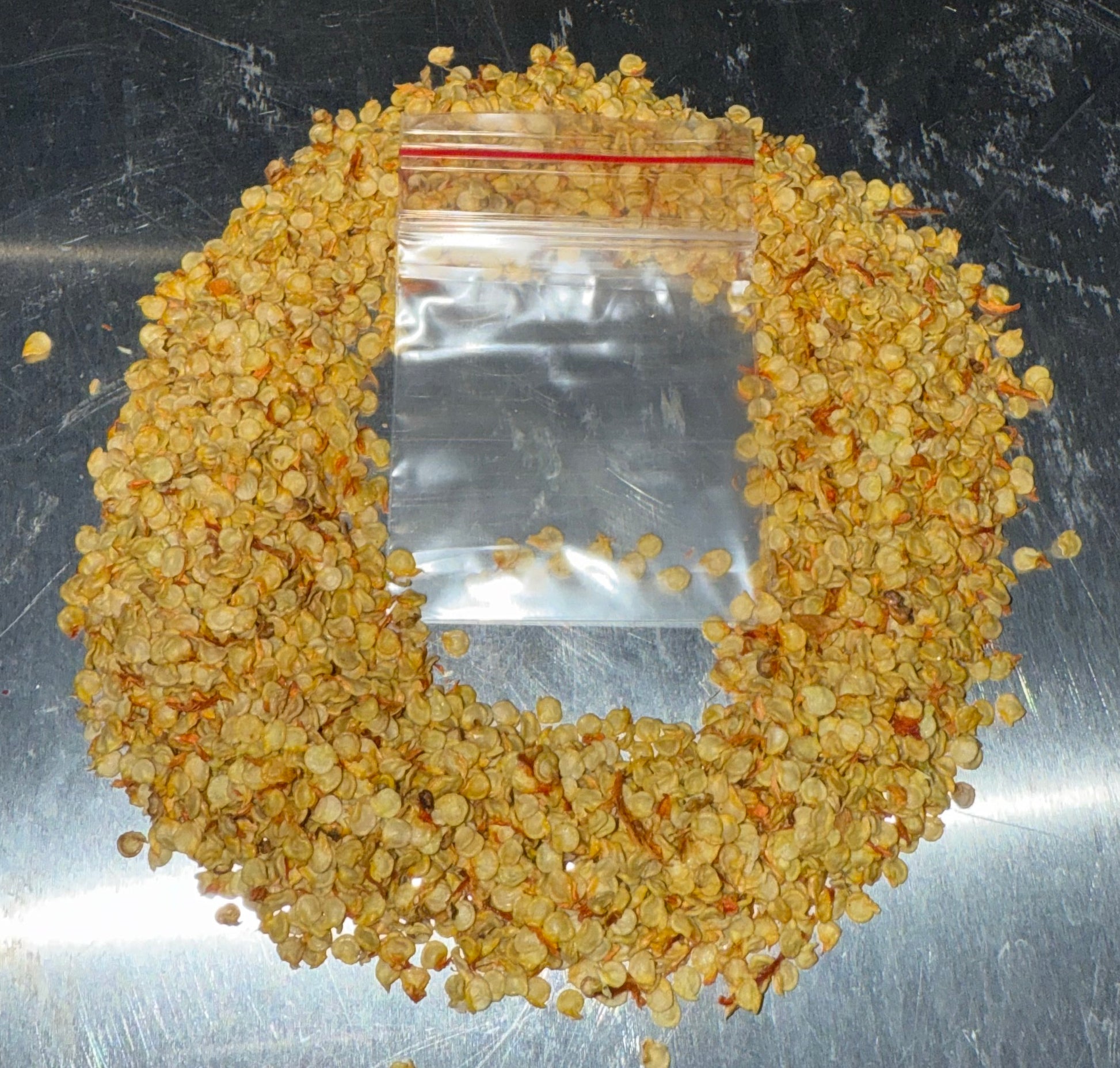 Chocolate Ghost Seeds