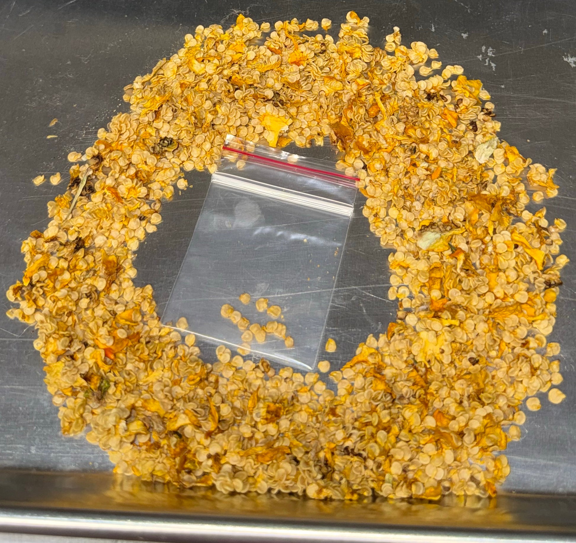 Trinidad Yellow Seeds