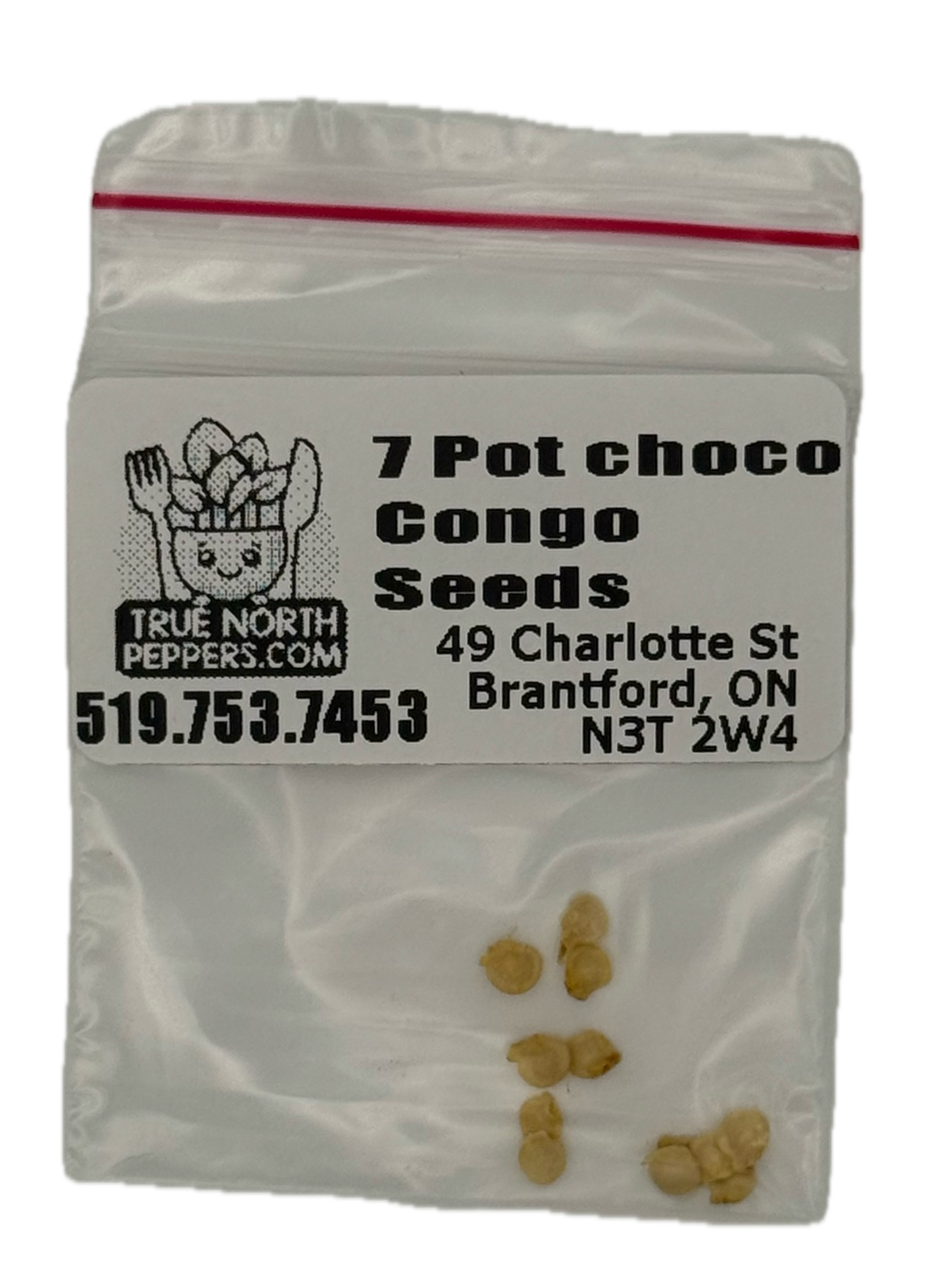 Pot Chocolate Congo Seeds